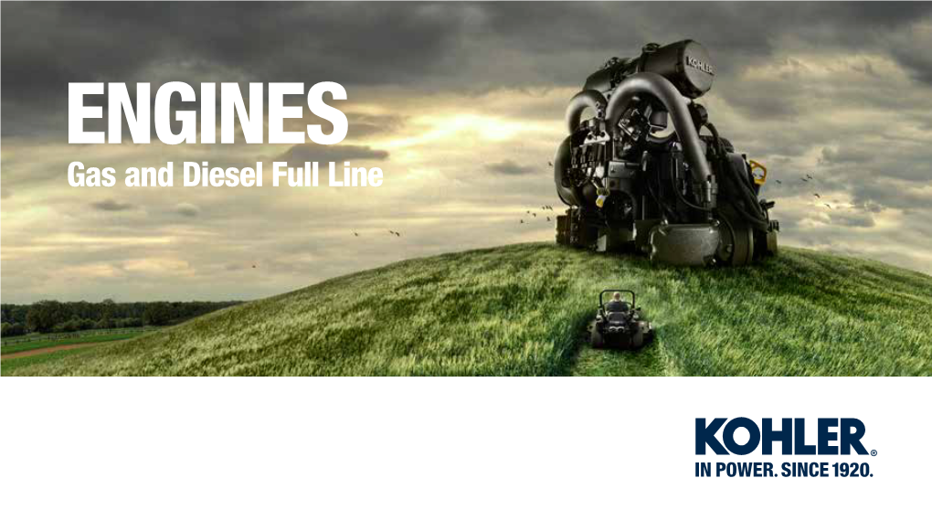 ENGINES Enginesgas and Diesel Full Line Commercial, Consumer and Diesel Full Line