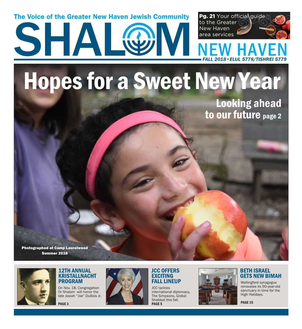 Jewish Federation a Strategic Visioning Process Hasbeen Community