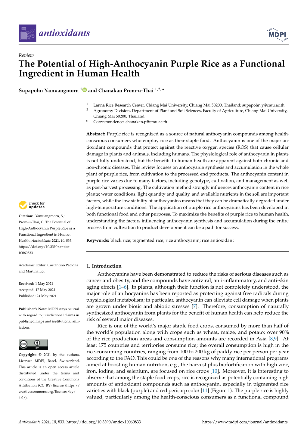 The Potential of High-Anthocyanin Purple Rice As a Functional Ingredient in Human Health