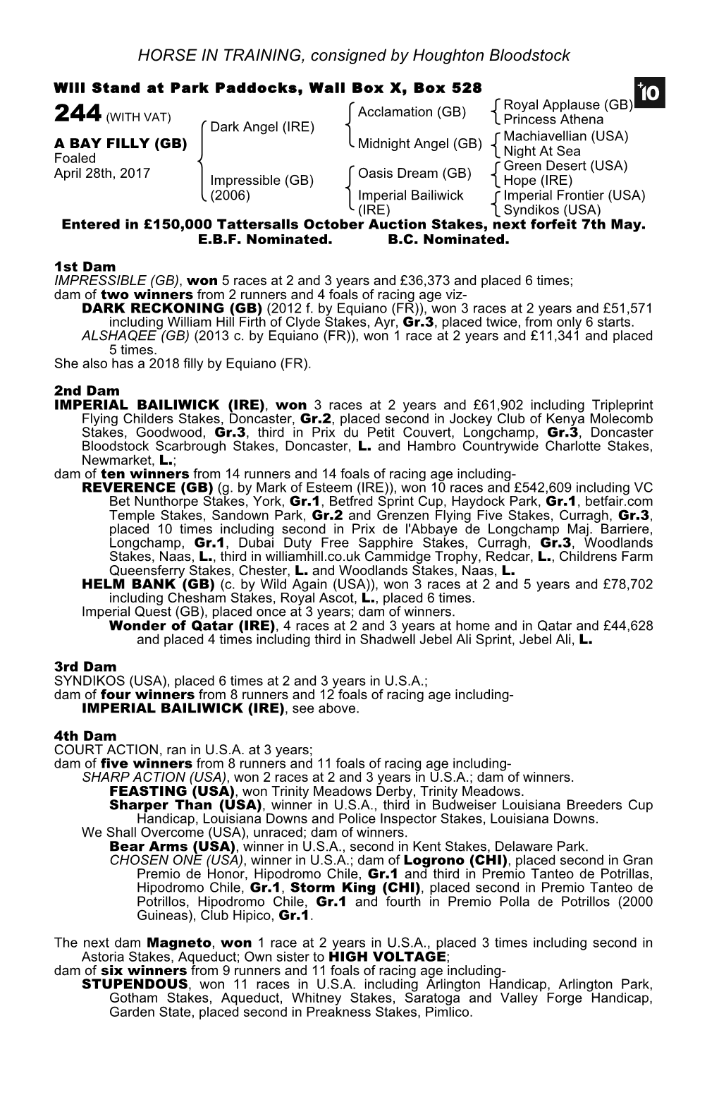 HORSE in TRAINING, Consigned by Houghton Bloodstock