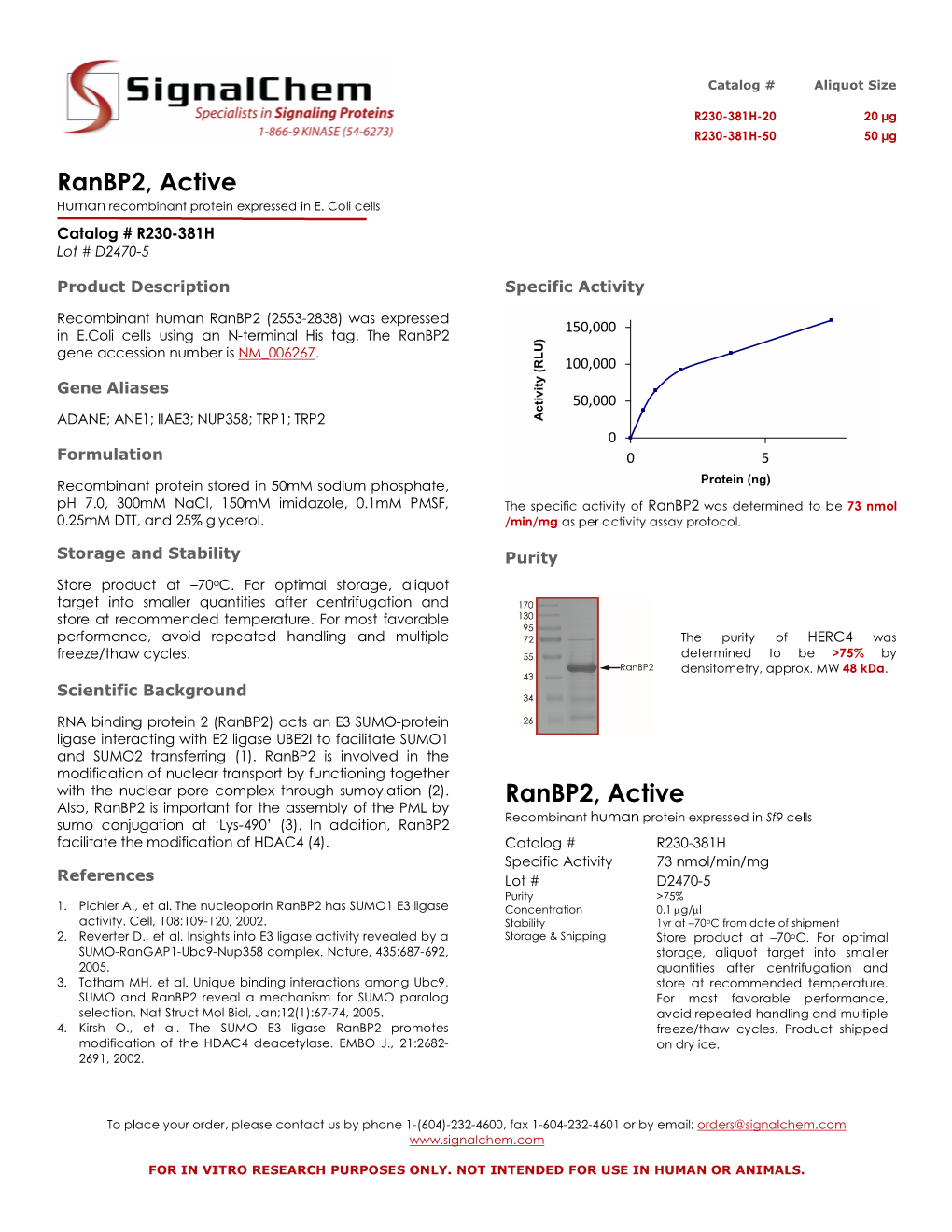 Ranbp2, Active Human Recombinant Protein Expressed in E