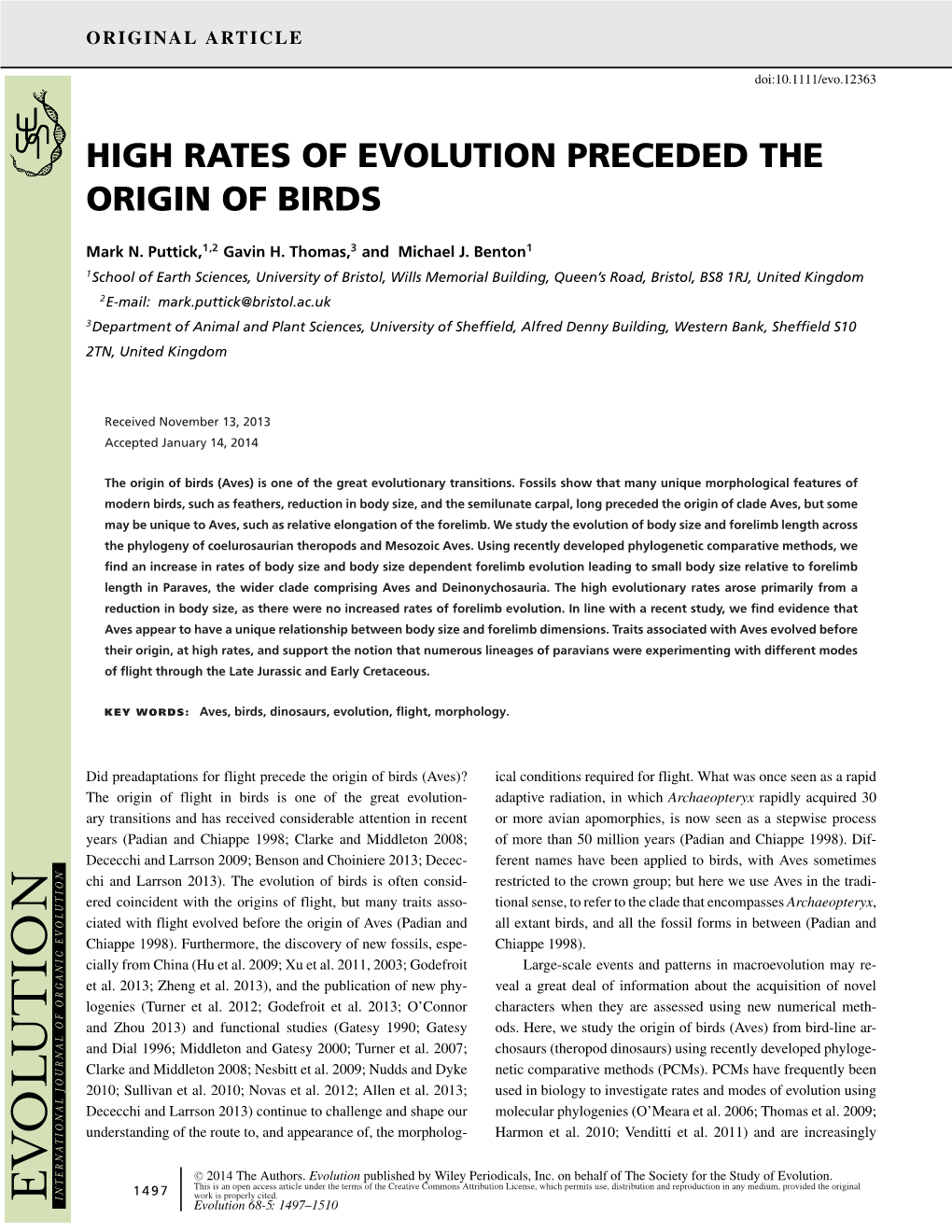 High Rates of Evolution Preceded the Origin of Birds