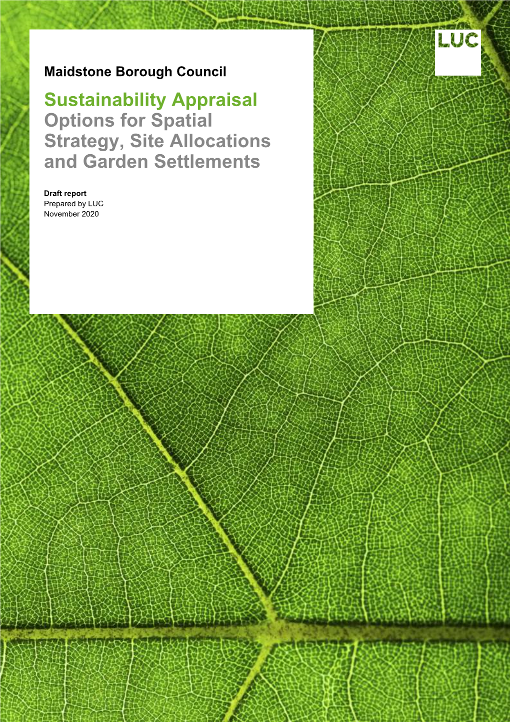 Sustainability Appraisal of Spatial Strategy Garden Settlement And