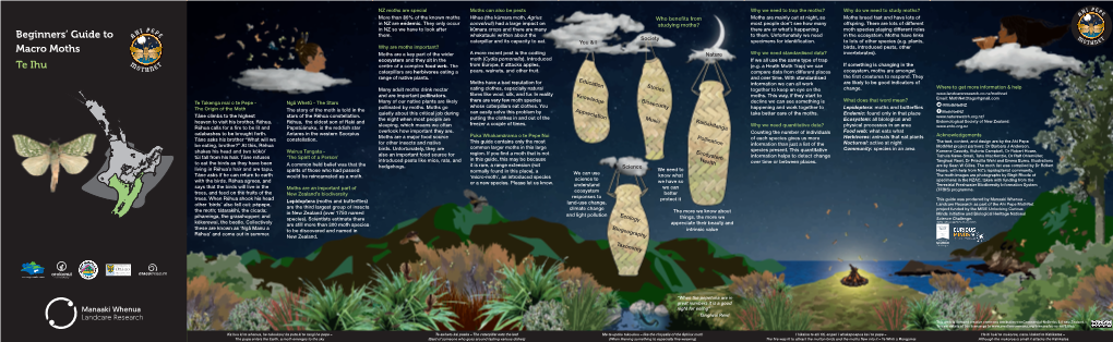 Beginners' Guide to Macro Moths