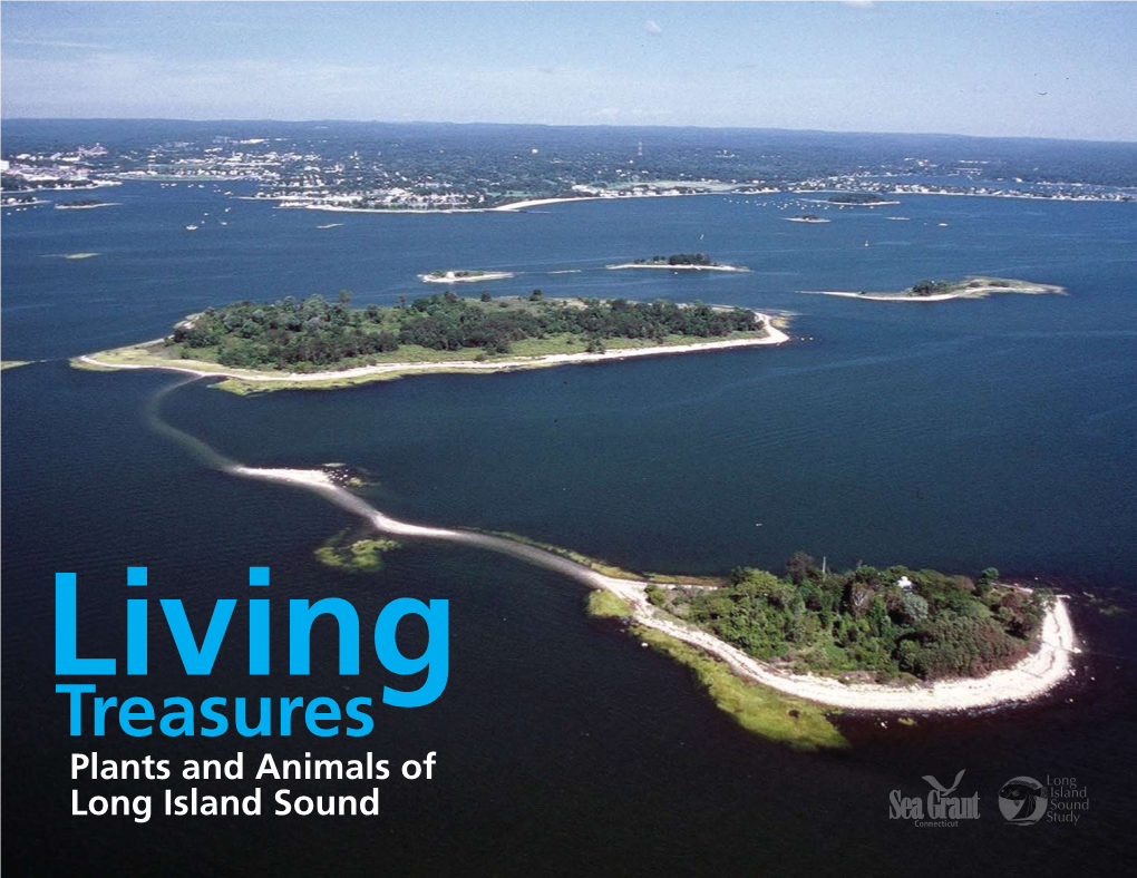 Living Treasures: the Plants and Animals of Long Island Sound