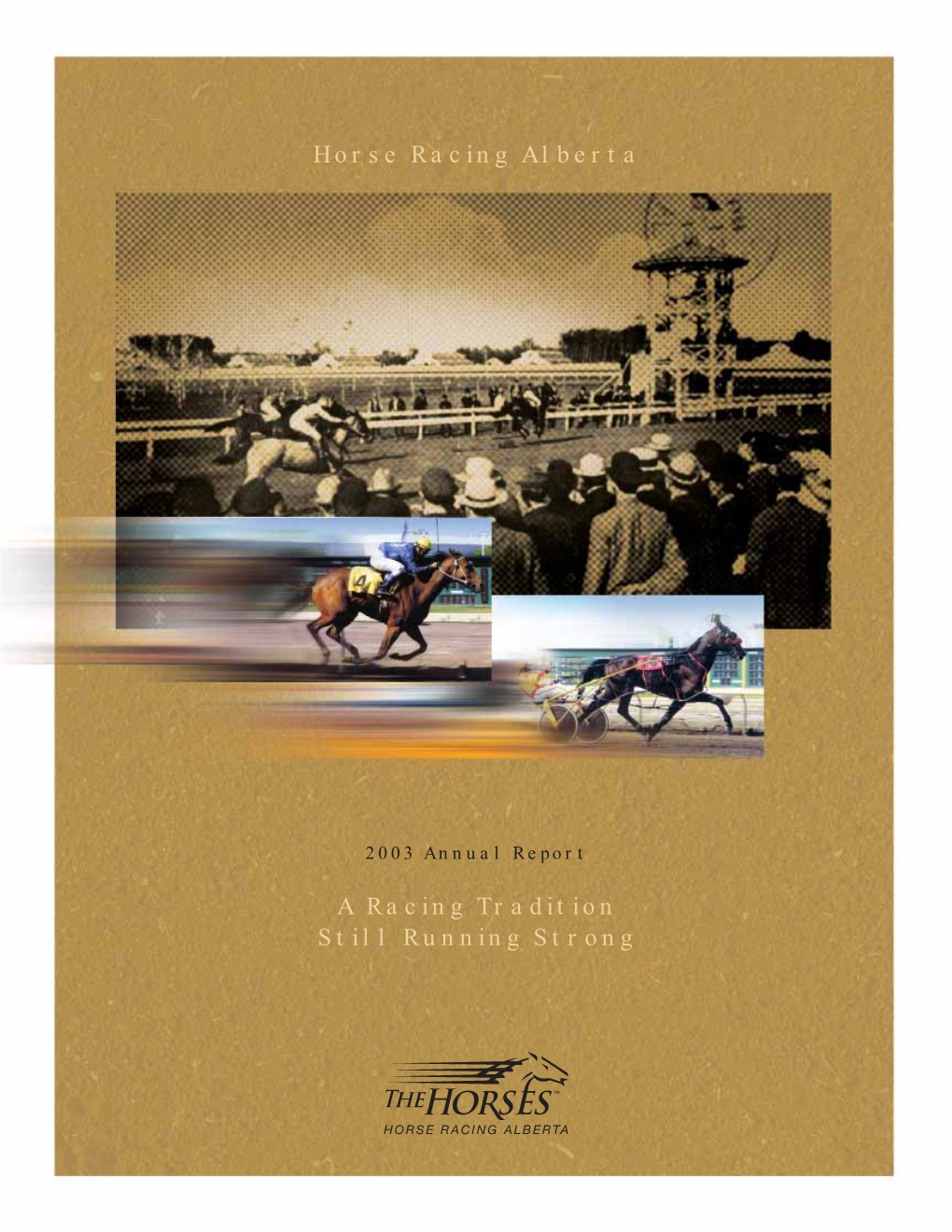 Horse Racing Alberta a Racing Tradition Still Running Strong