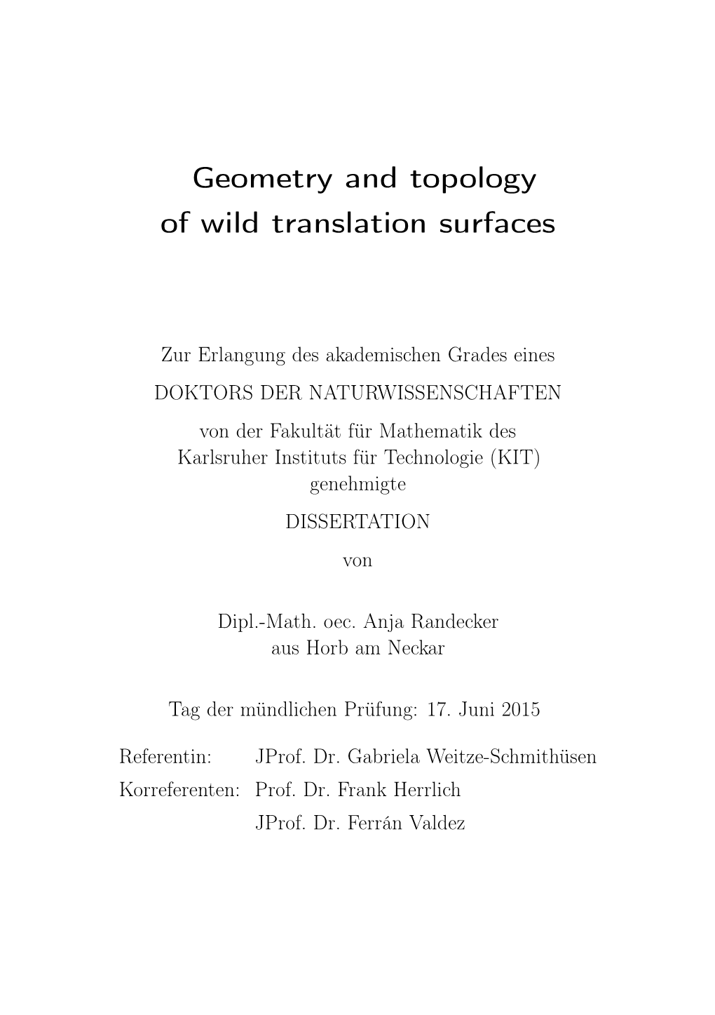 Geometry and Topology of Wild Translation Surfaces