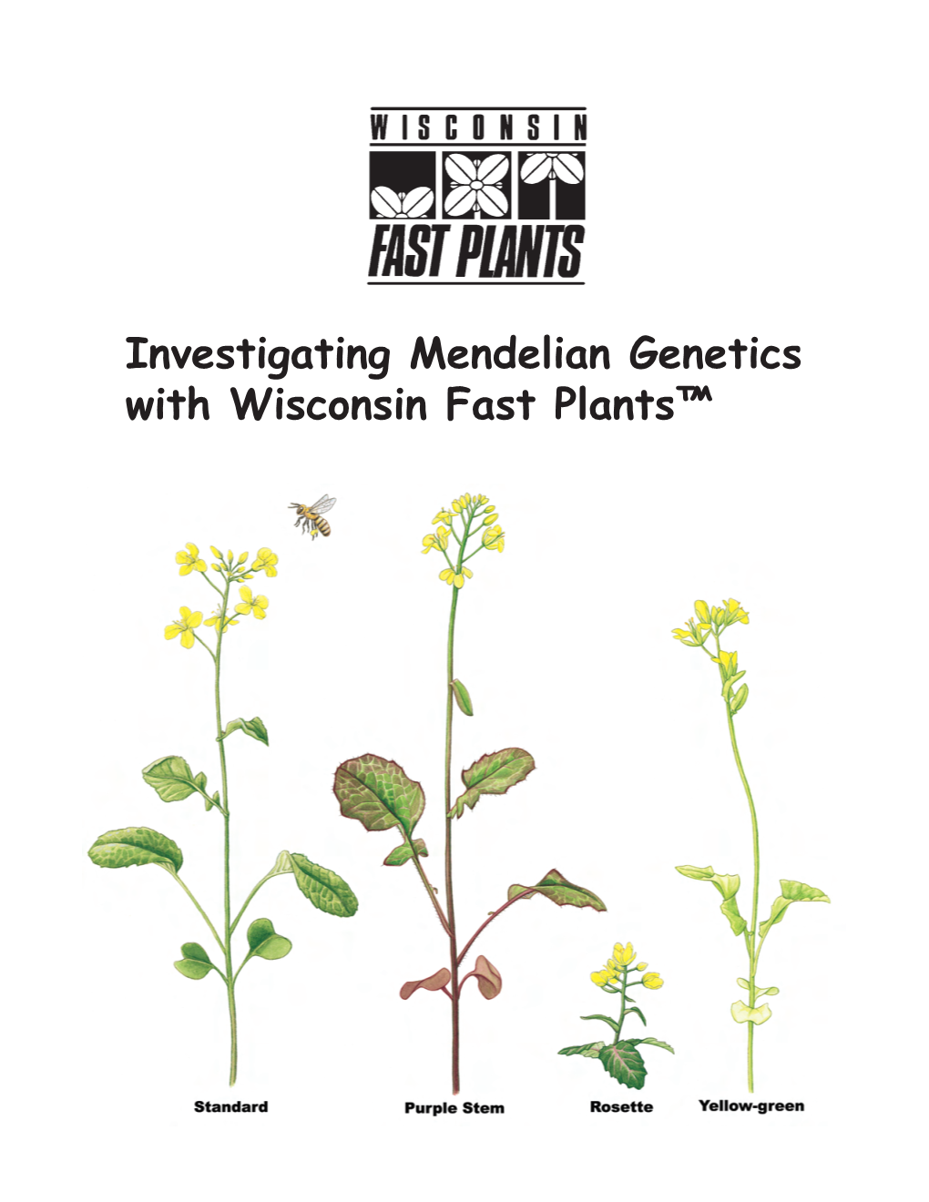 Investigating Mendelian Genetics with Wisconsin Fast Plants™ Investigating Mendelian Genetics with Wisconsin Fast Plants™