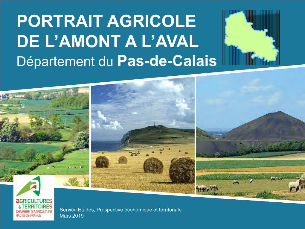 Portrait Agricole De L'amont a L'aval