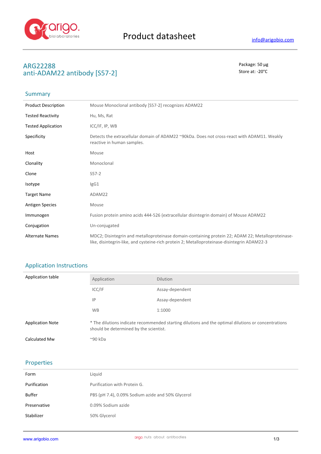 Anti-ADAM22 Antibody [S57-2] (ARG22288)