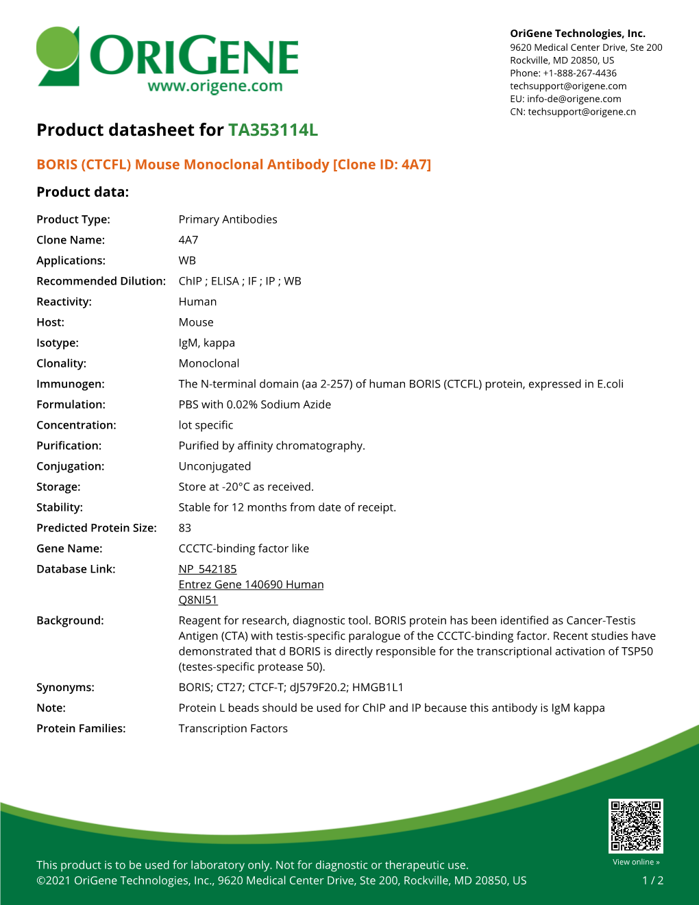 BORIS (CTCFL) Mouse Monoclonal Antibody [Clone ID: 4A7] – TA353114L | Origene