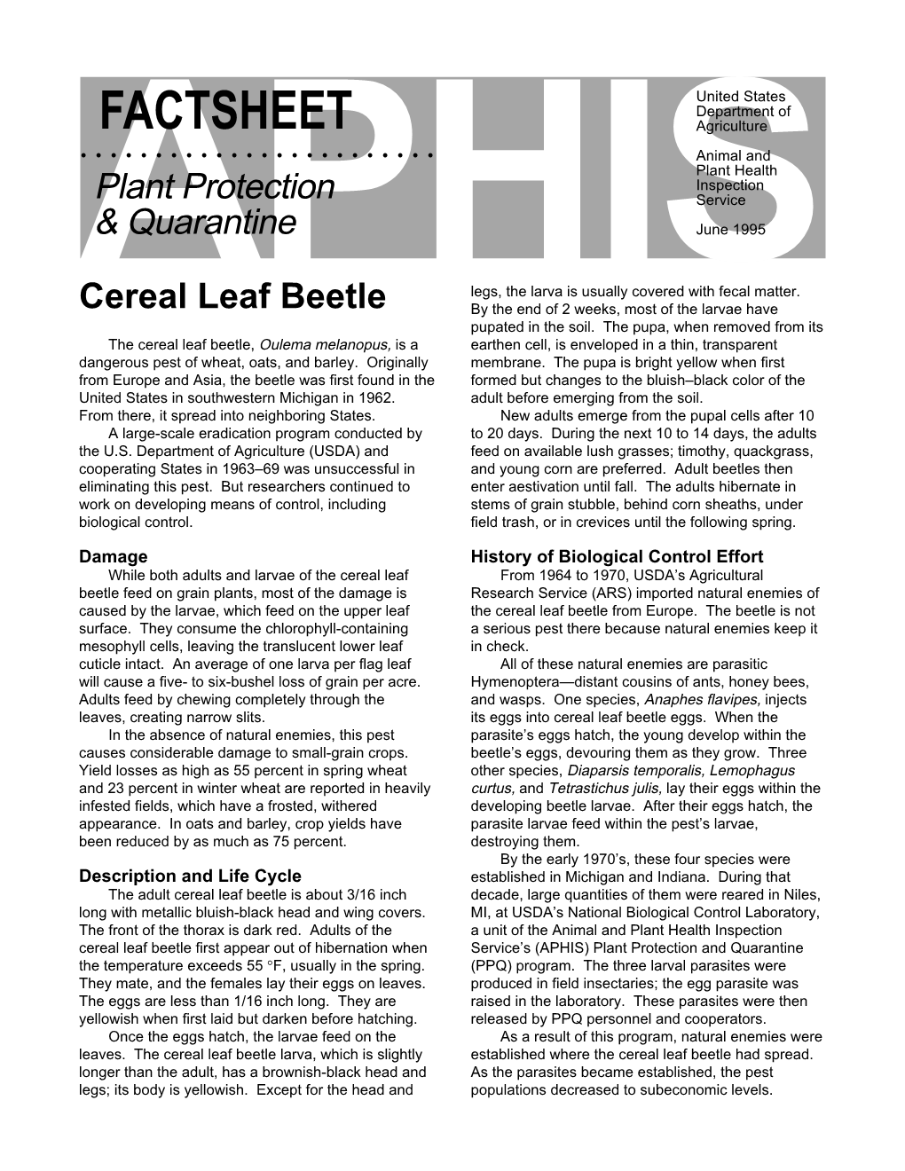 Cereal Leaf Beetle by the End of 2 Weeks, Most of the Larvae Have Pupated in the Soil