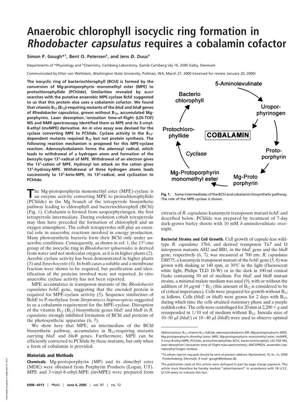 Anaerobic Chlorophyll Isocyclic Ring Formation in Rhodobacter Capsulatus Requires a Cobalamin Cofactor