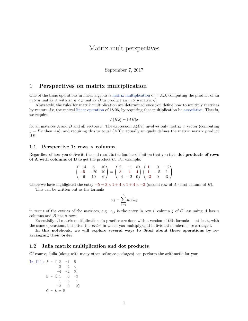 Matrix Multiplication Perspectives