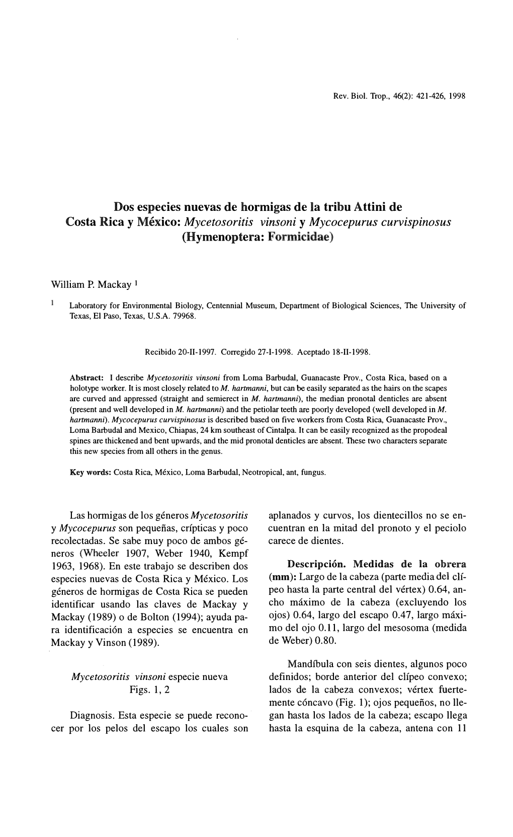 William P. Mackay 1 Las Hormigas De Los Géneros Mycetosoritis Y Mycocepurus Son Pequeñas, Crípticas Y Poco Recolectadas. Se