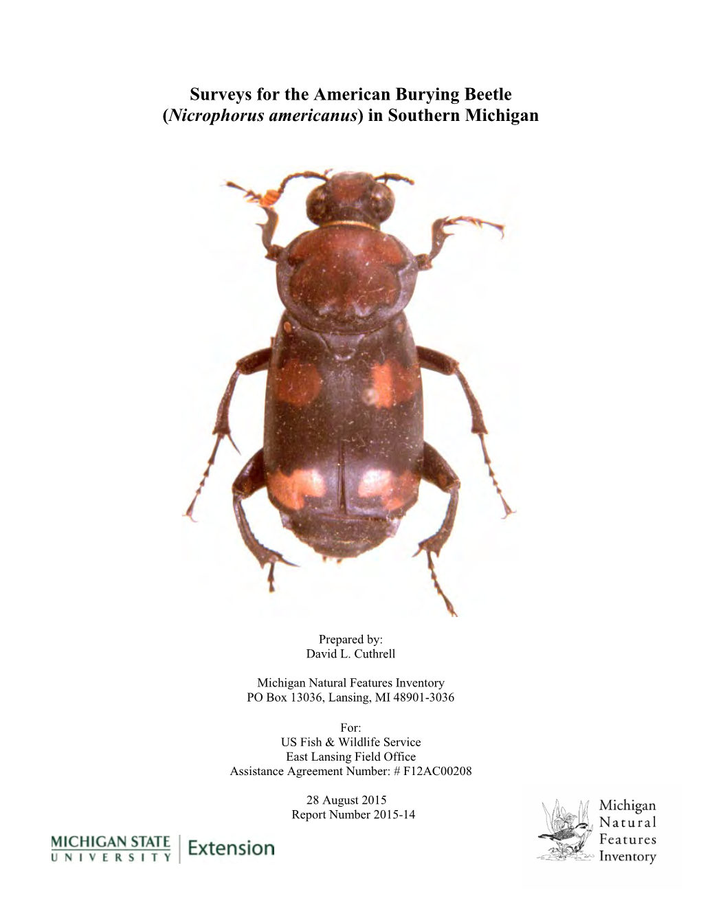 Surveys for the American Burying Beetle (Nicrophorus Americanus) in Southern Michigan
