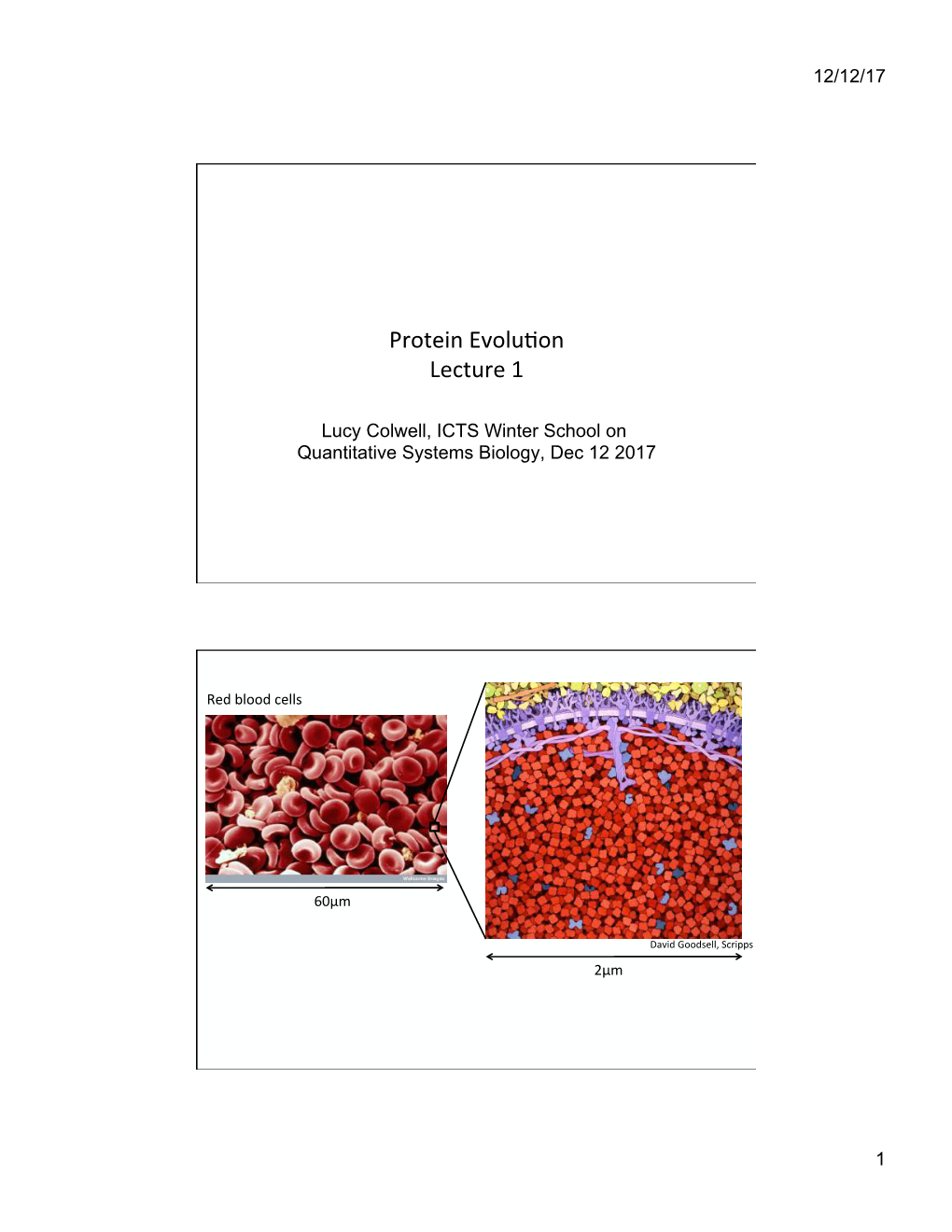 Protein Evolu3on Lecture 1