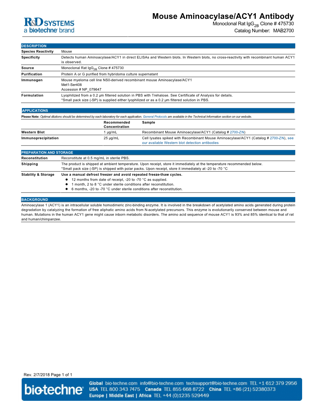 Mouse Aminoacylase/ACY1 Antibody