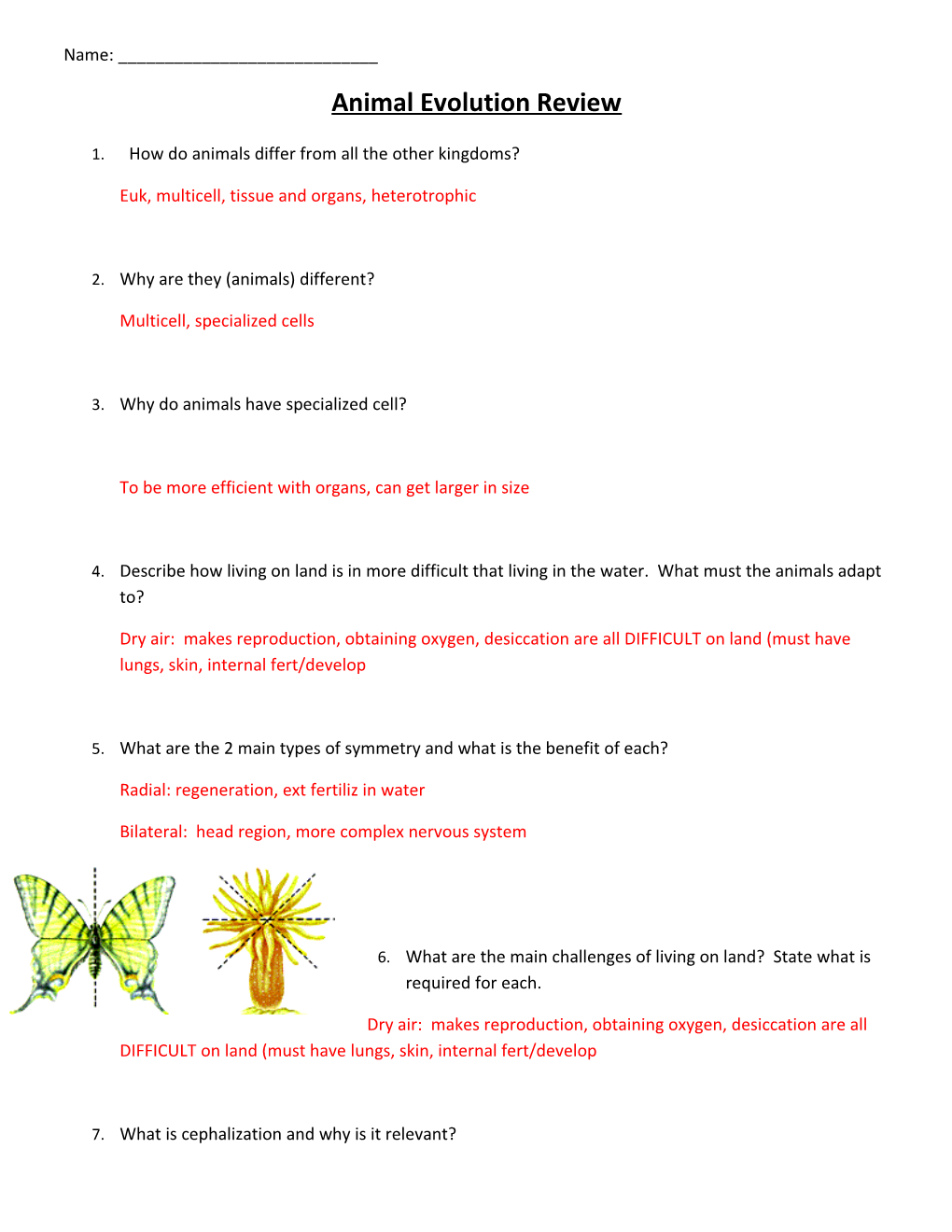 1. How Do Animals Differ from All the Other Kingdoms?