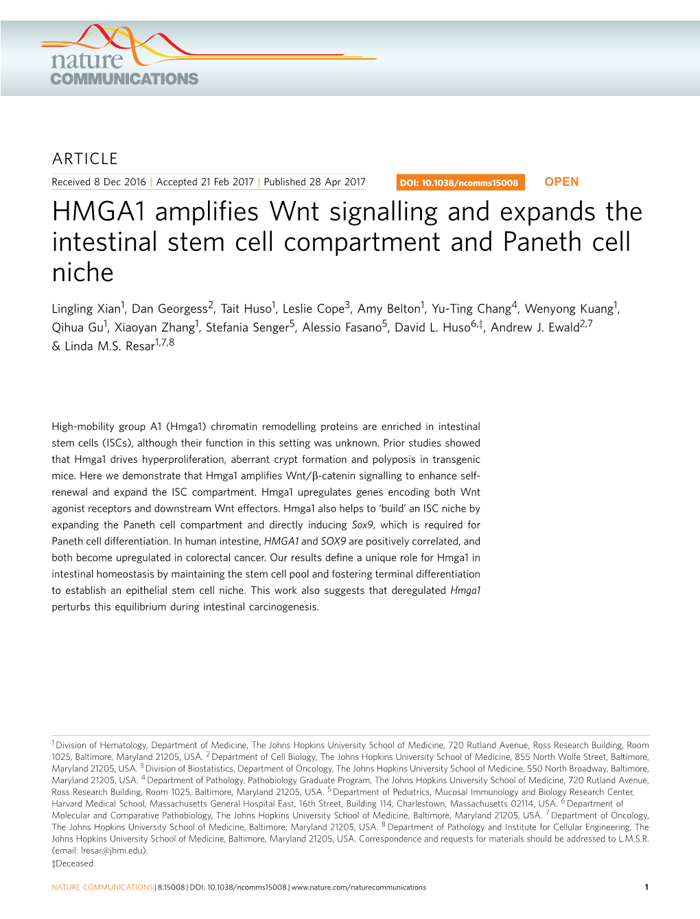 HMGA1 Amplifies Wnt Signalling and Expands the Intestinal Stem Cell