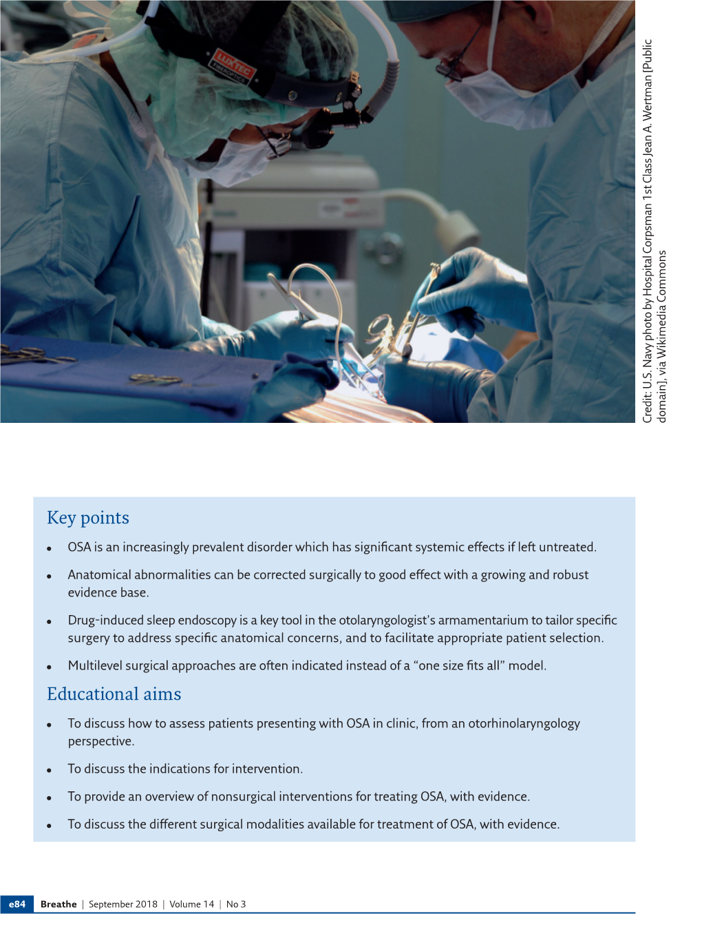 Tailoring Surgical Interventions to Treat Obstructive Sleep Apnoea: One Size Does Not Fit All