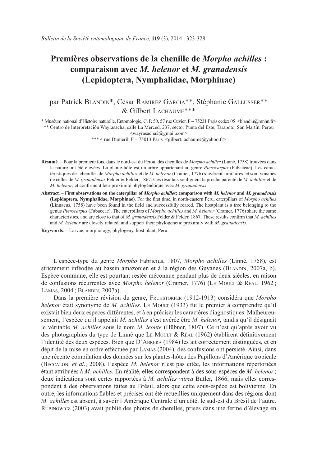 Premières Observations De La Chenille De Morpho Achilles : Comparaison Avec M