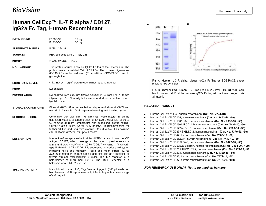 P1238-Human Cellexp™ IL-7 R Alpha Fc, Hu Rec