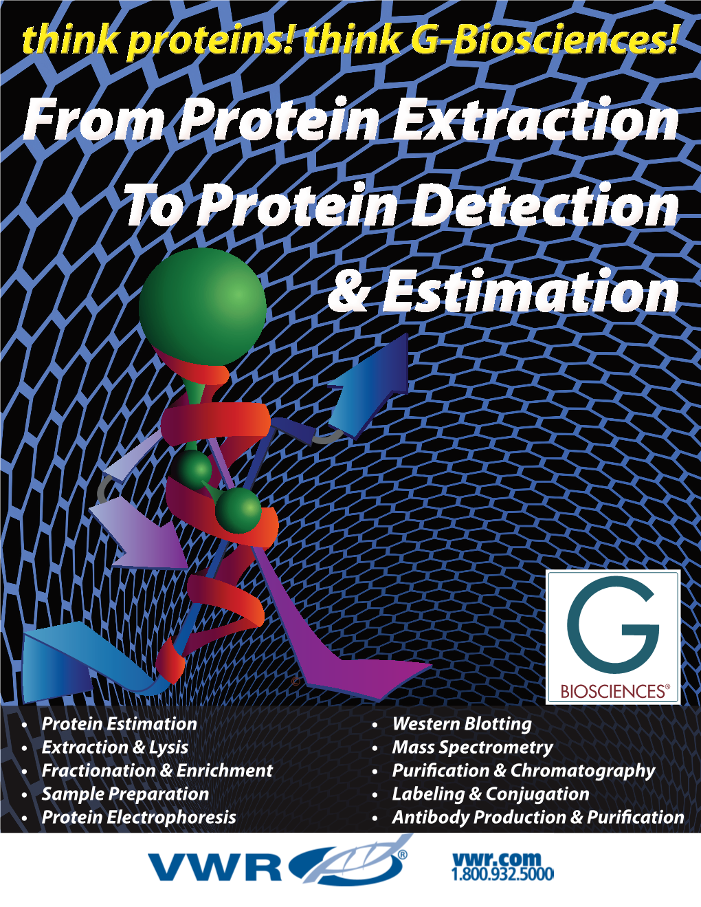 From Protein Extraction to Protein Detection & Estimation From
