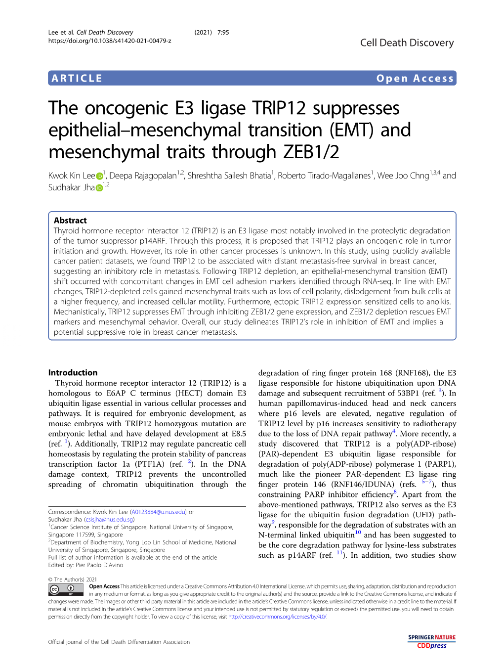 The Oncogenic E3 Ligase TRIP12 Suppresses Epithelial–Mesenchymal Transition