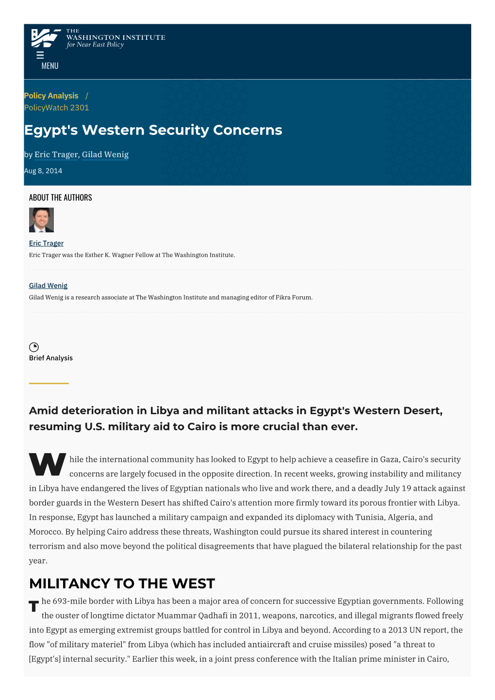 Egypt's Western Security Concerns | the Washington Institute