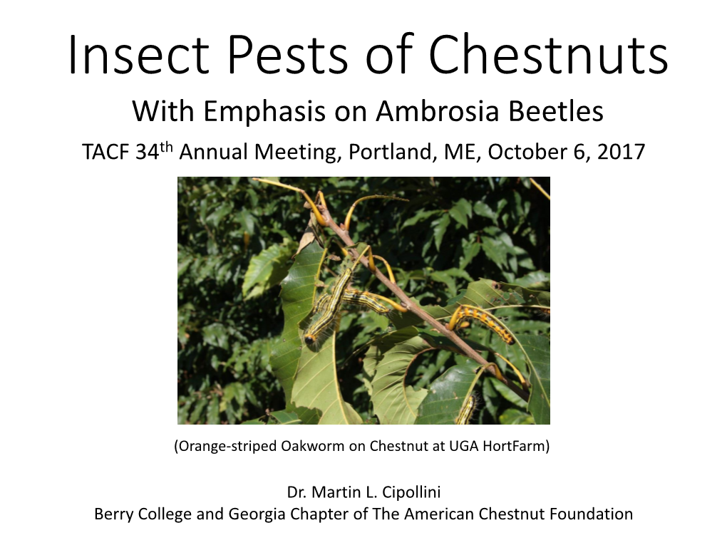 Insect Pests of Chestnuts with Emphasis on Ambrosia Beetles TACF 34Th Annual Meeting, Portland, ME, October 6, 2017