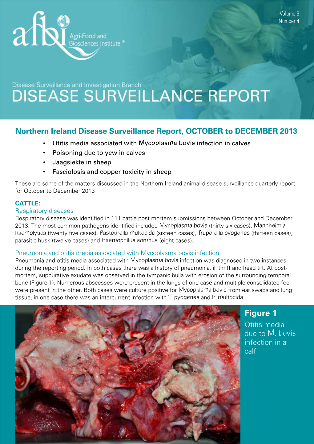 Disease Surveillance Report Vol 9 No 4