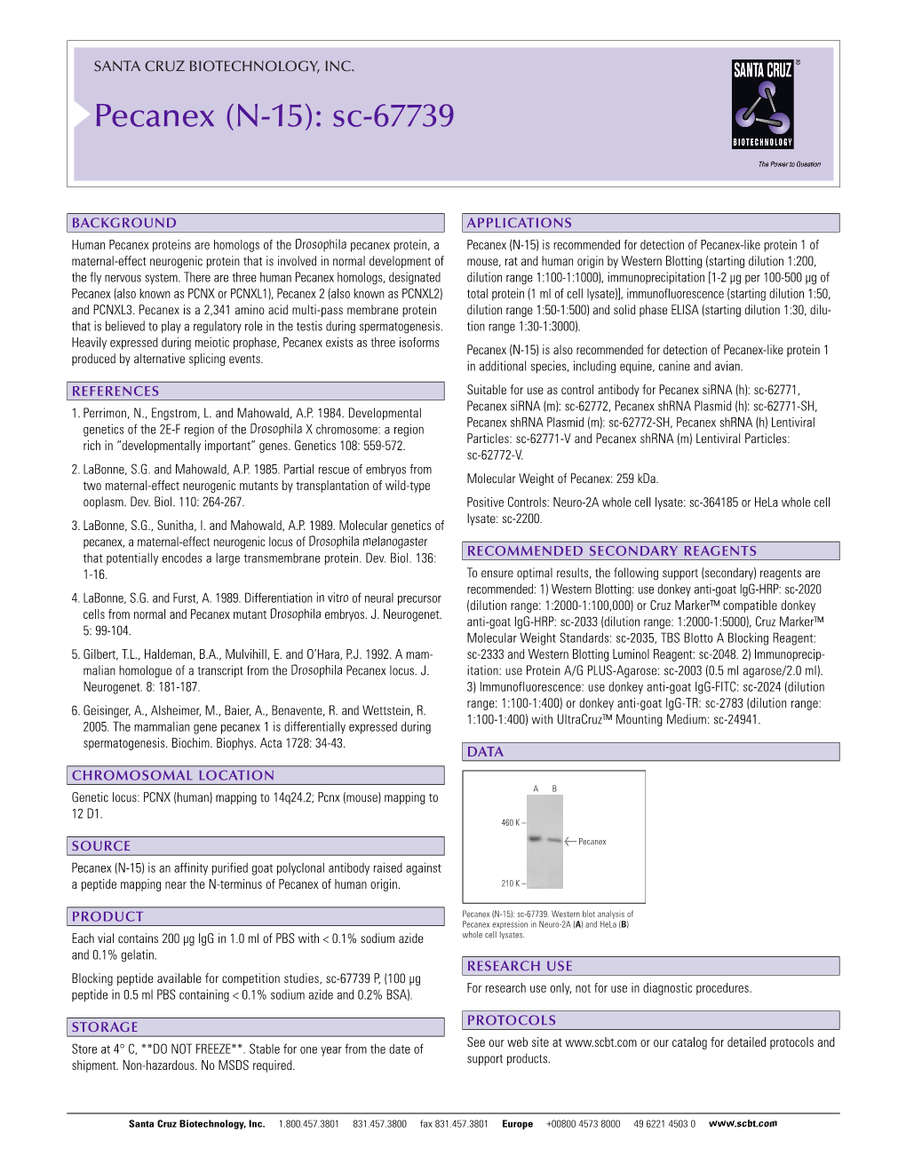 Datasheet Blank Template