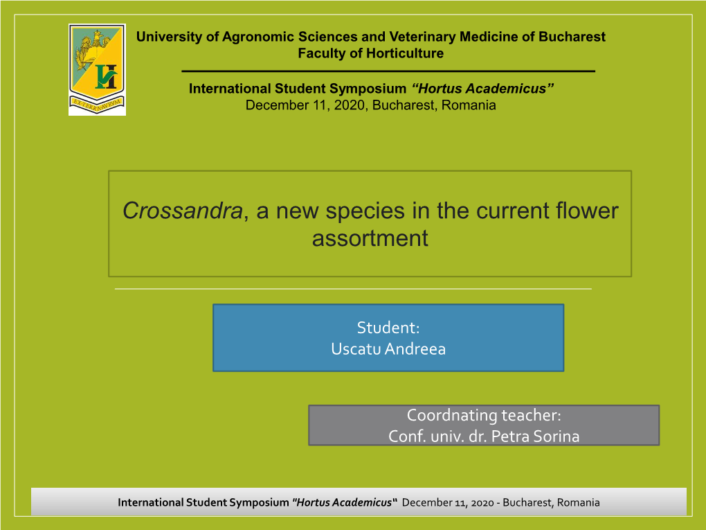 Crossandra, a New Species in the Current Flower Assortment