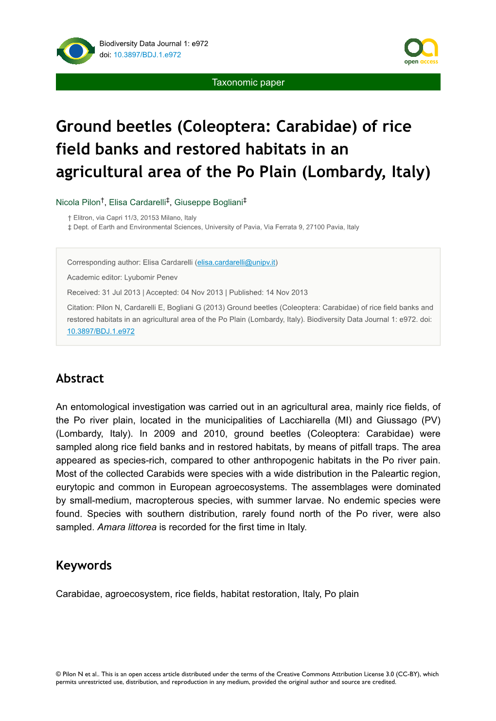 Ground Beetles (Coleoptera: Carabidae) of Rice Field Banks and Restored Habitats in an Agricultural Area of the Po Plain (Lombardy, Italy)