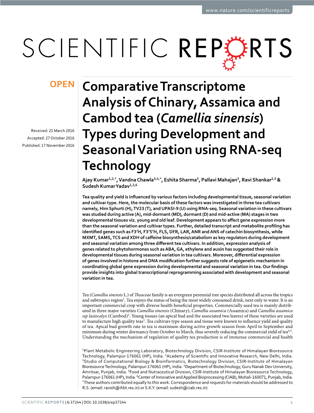 Comparative Transcriptome Analysis of Chinary, Assamica and Cambod