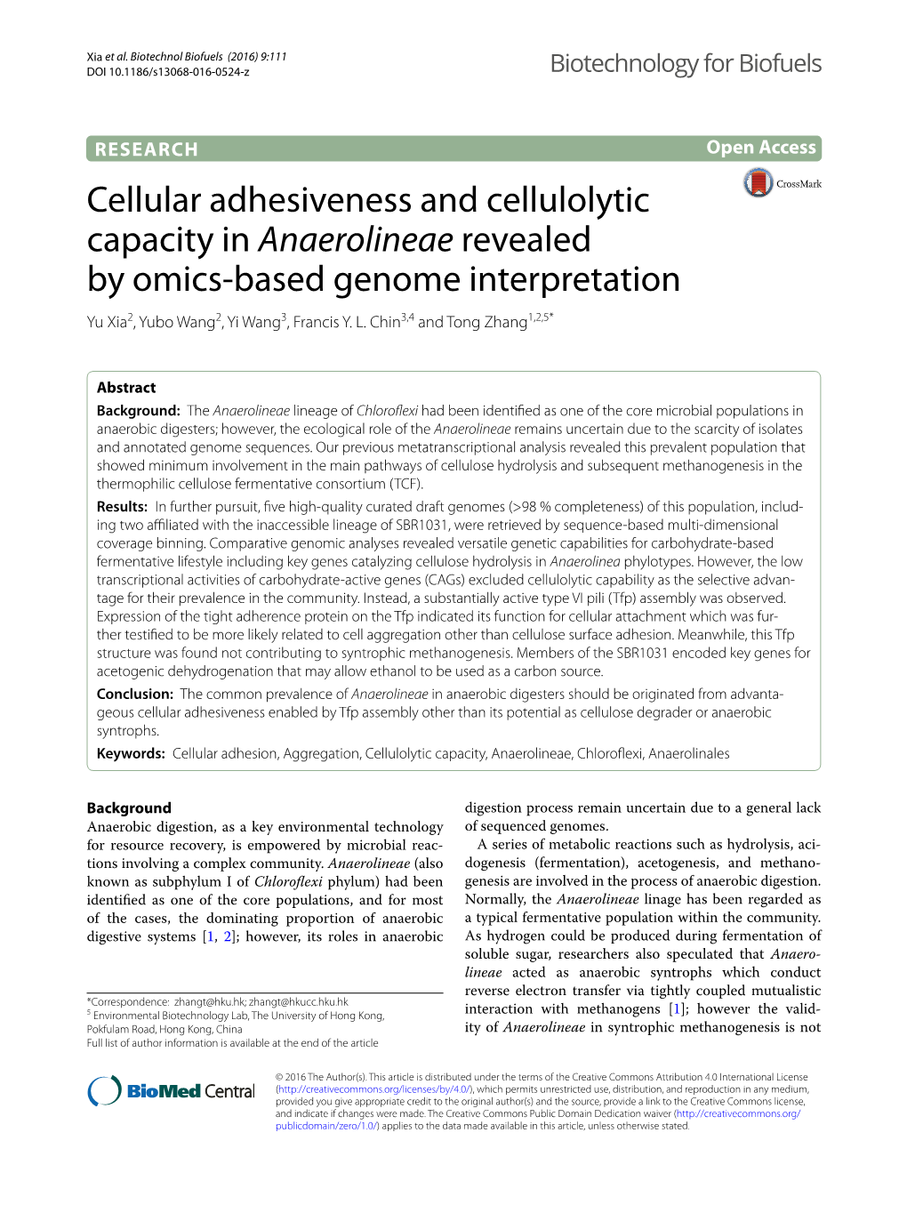 Cellular Adhesiveness and Cellulolytic Capacity in Anaerolineae Revealed by Omics-Based Genome Interpretation