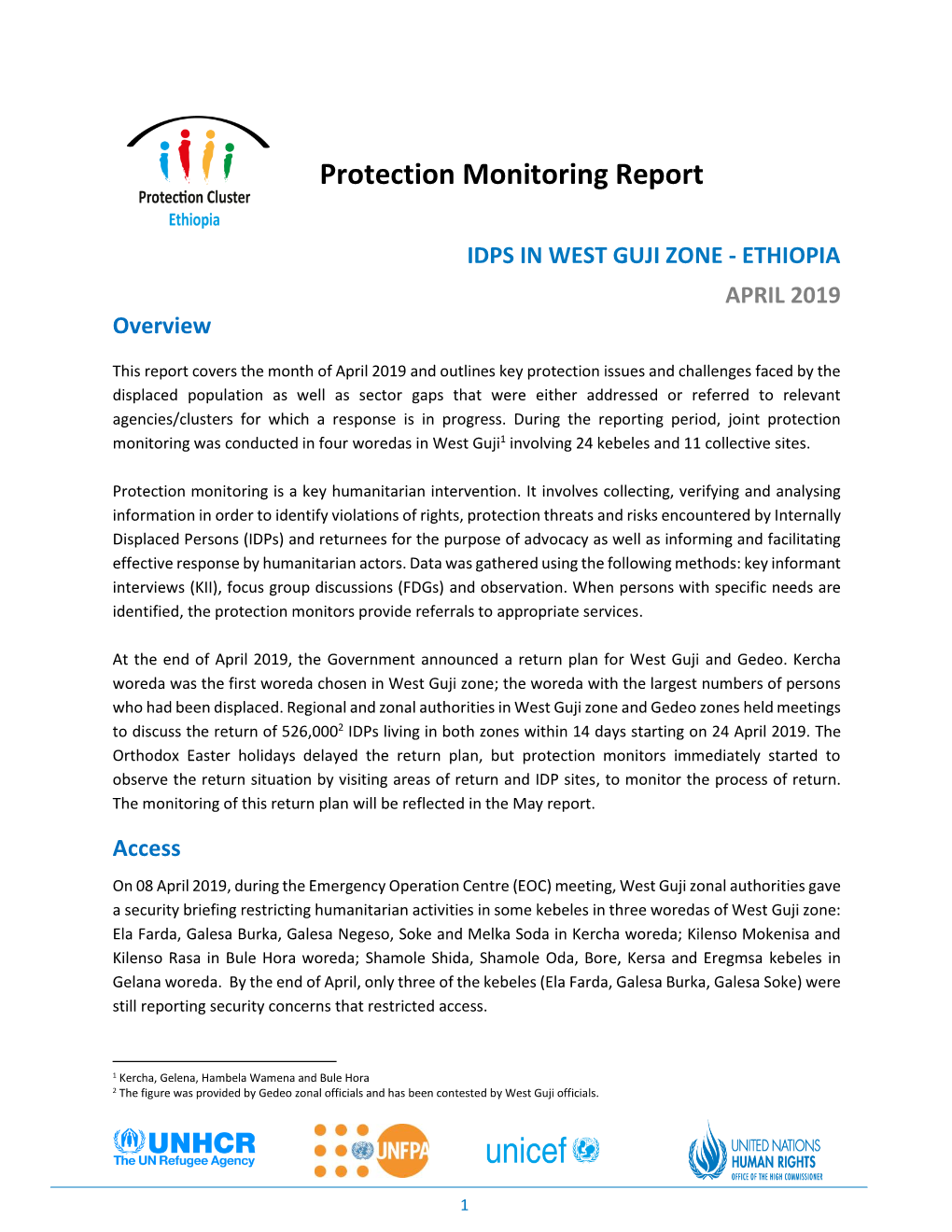 Joint UN IDP Protection Monitoring Report