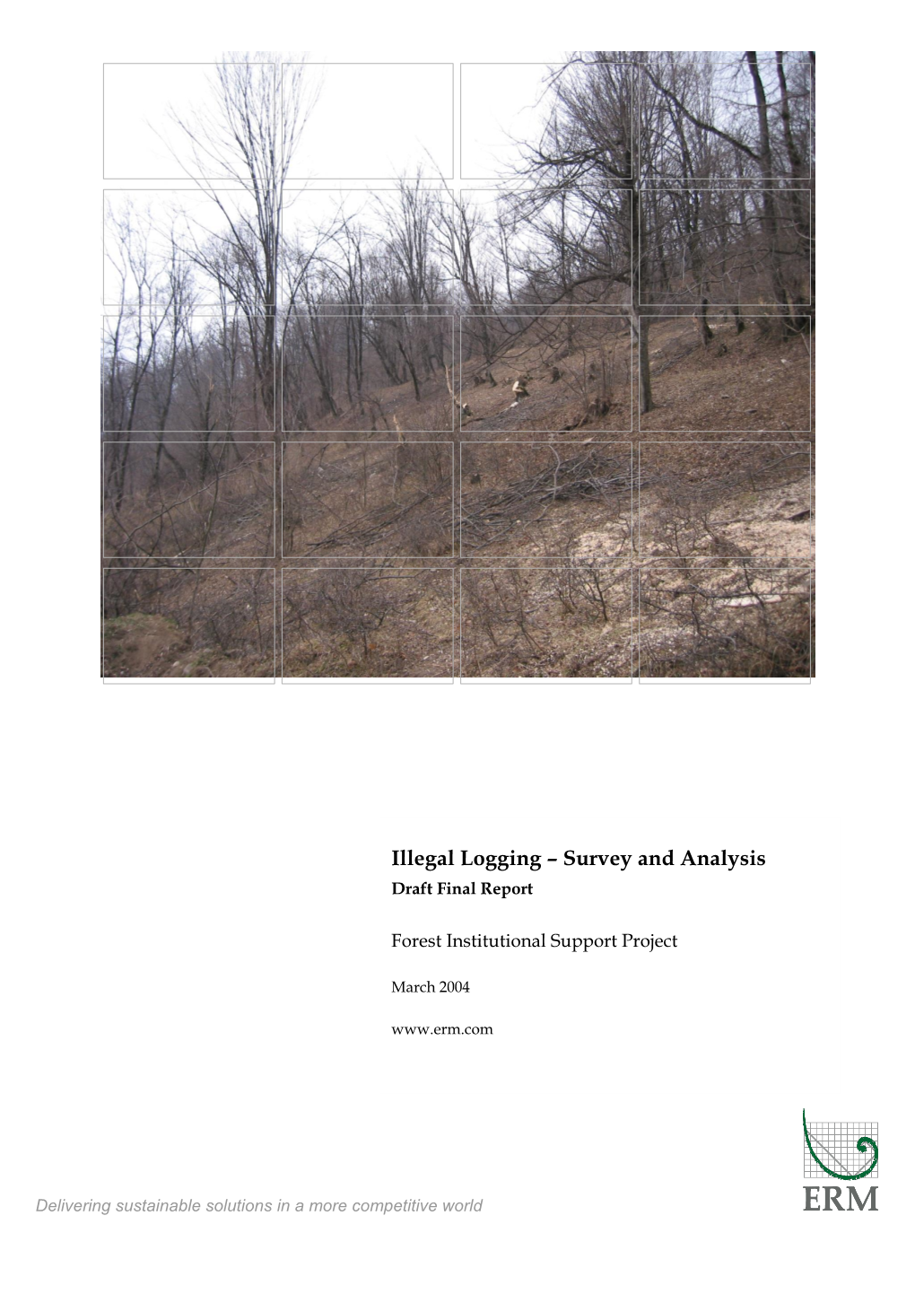 Illegal Logging – Survey and Analysis Draft Final Report