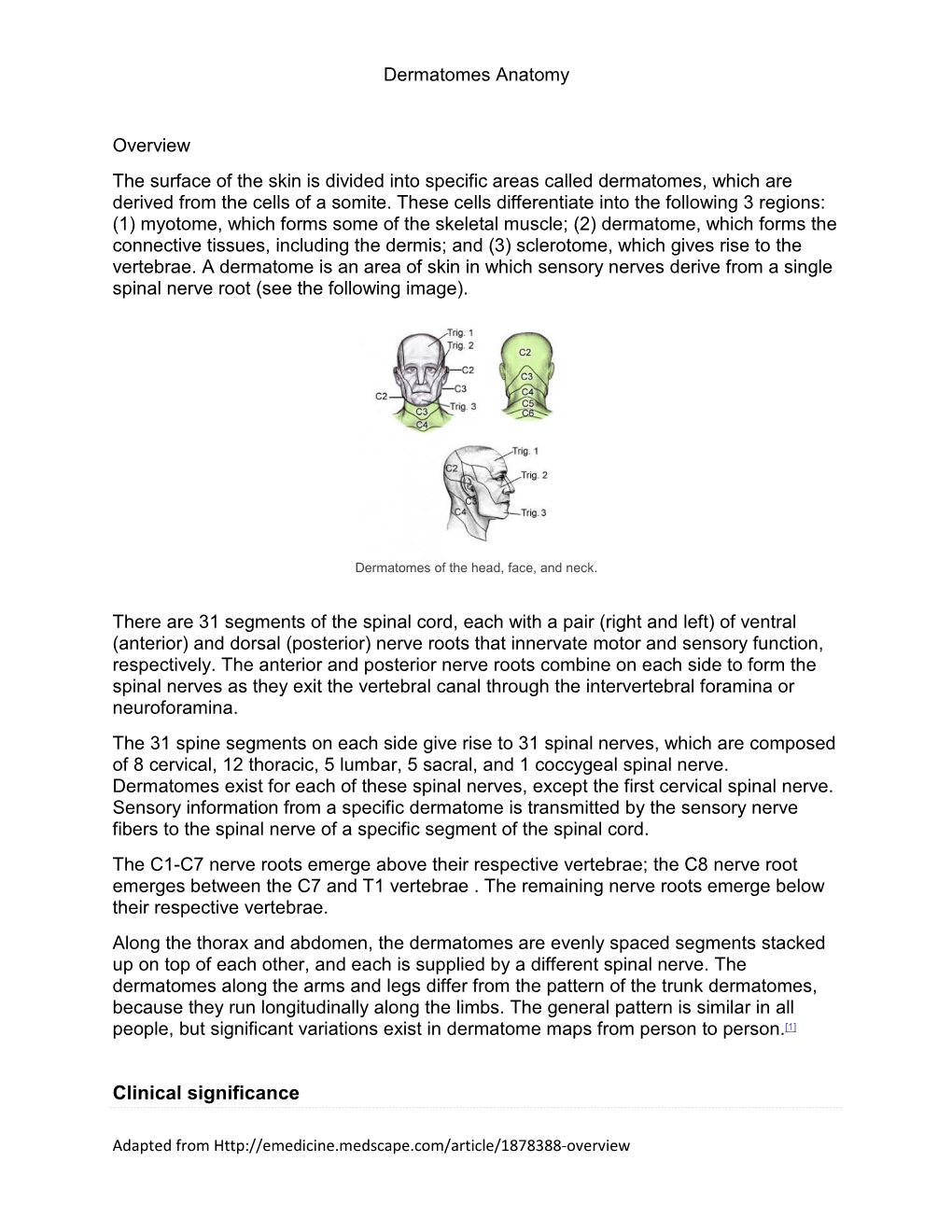 Dermatomes Anatomy Overview the Surface of the Skin Is Divided Into