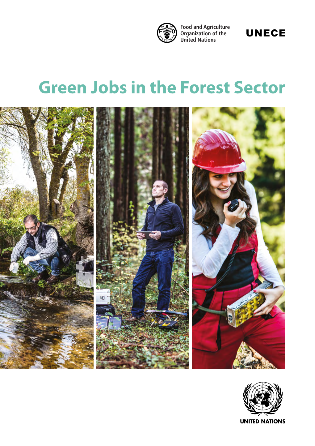 Green Jobs in the Forest Sector in the Forest Jobs Green