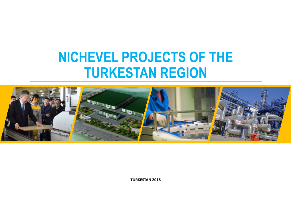 Nichevel Projects of the Turkestan Region