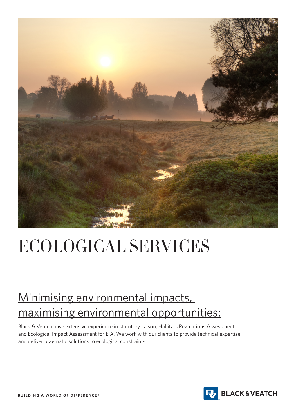 Ecological Services