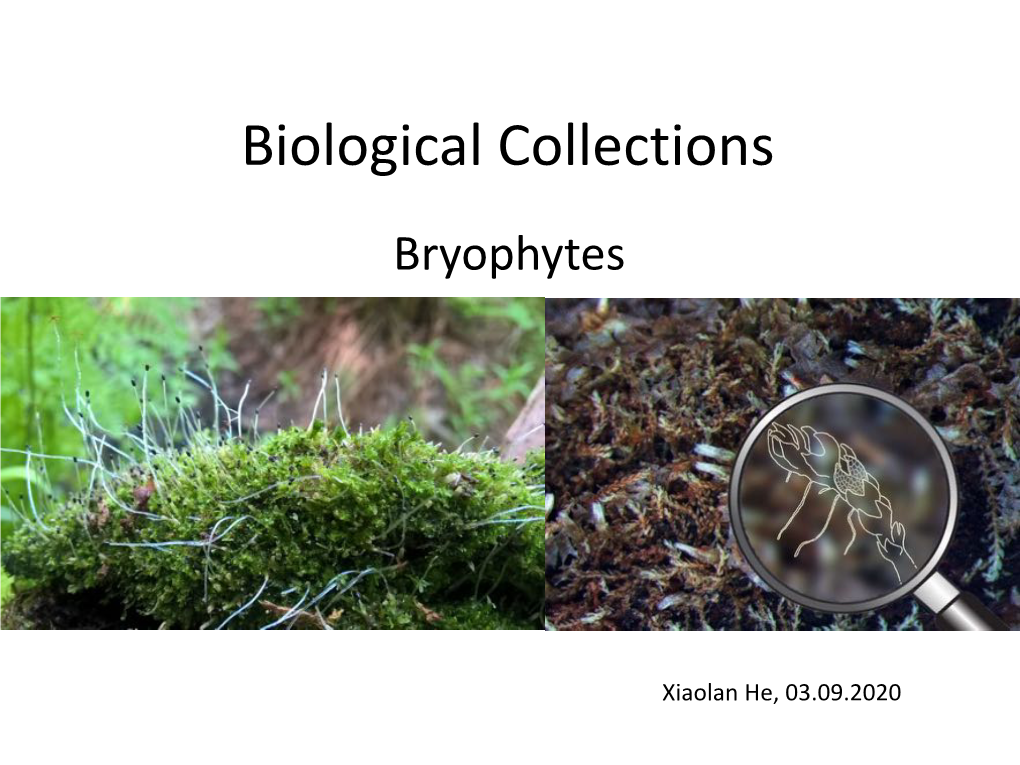 Biological Collections Bryophytes