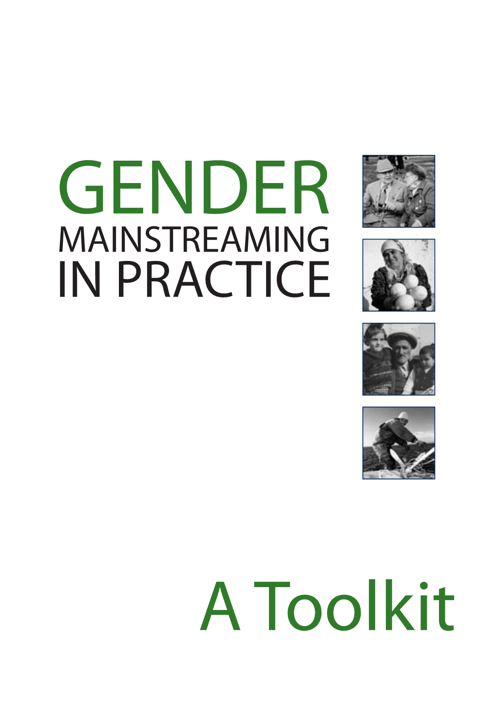 Gender Mainstreaming in Practice