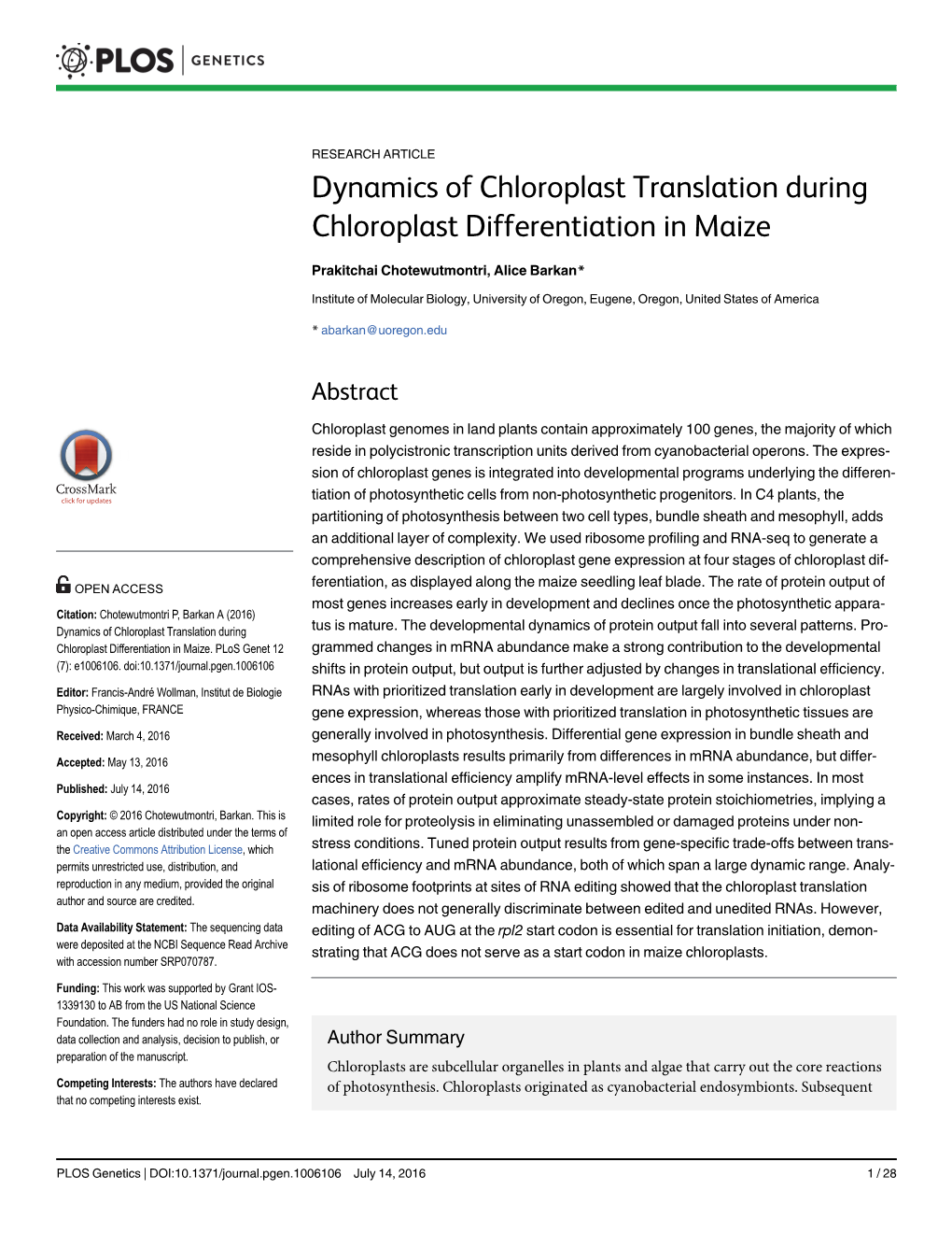 Dynamics of Chloroplast Translation During Chloroplast Differentiation in Maize