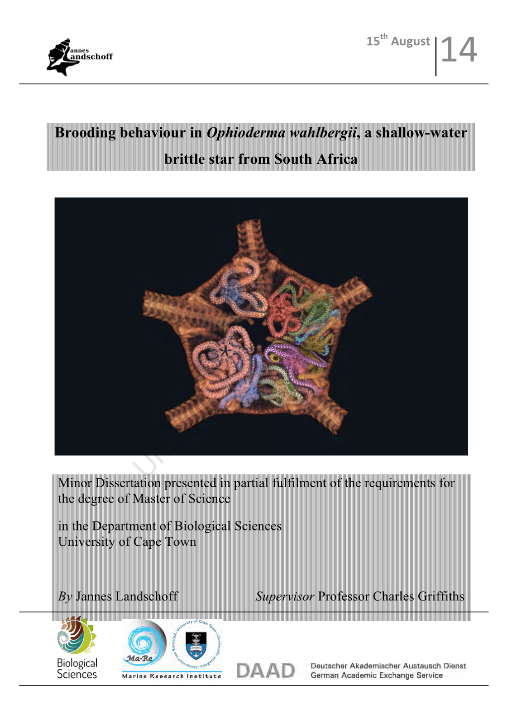 Brooding Behaviour in Ophioderma Wahlbergii, a Shallow-Water Brittle Star from South Africa