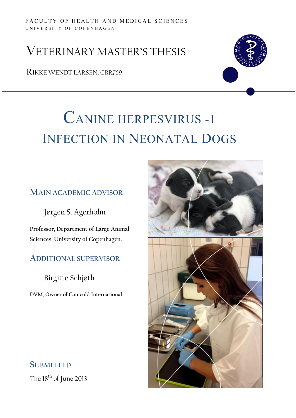 Canine Herpesvirus -1 Infection in Neonatal Dogs