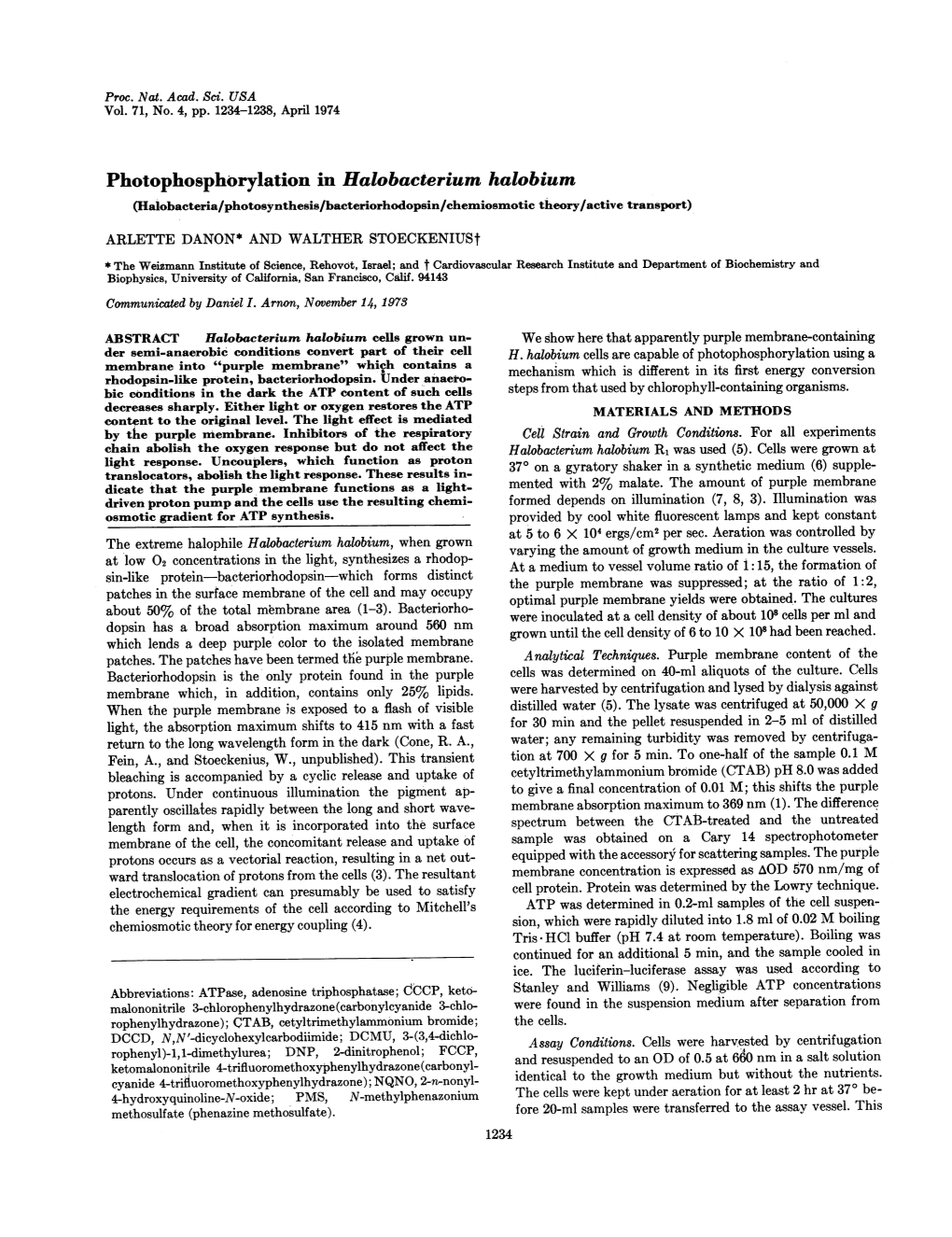 Photophosphorylation in Halobacterium Halobium