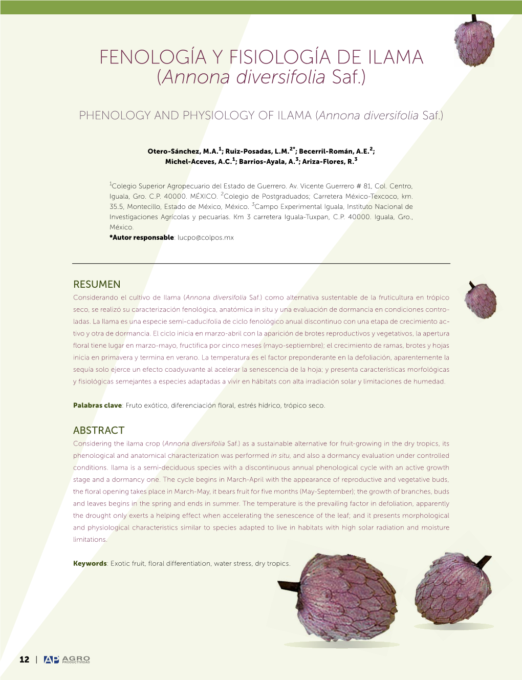 FENOLOGÍA Y FISIOLOGÍA DE ILAMA (Annona Diversifolia Saf.)